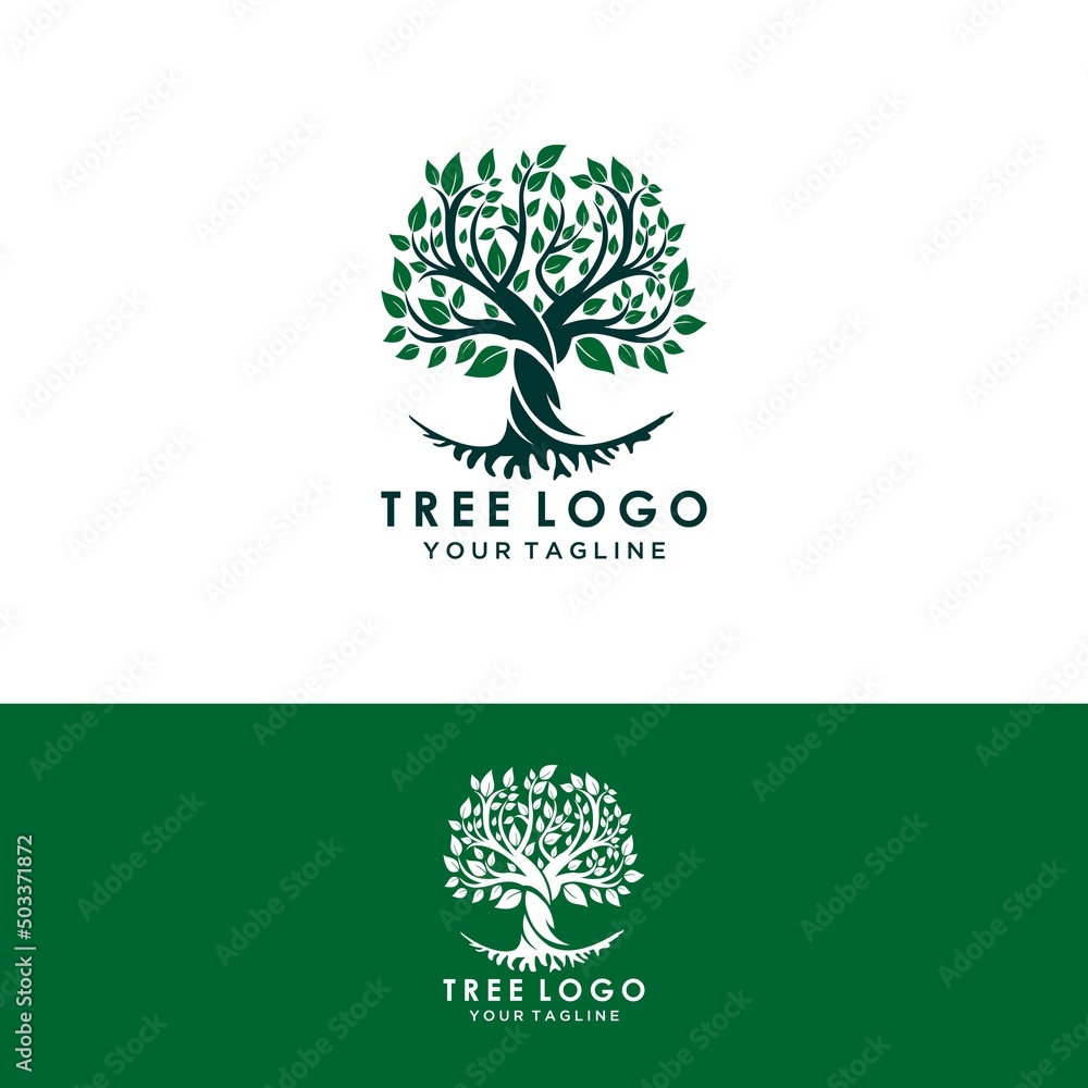Abstract living tree logo design, roots vector - Tree of life logo design inspiration isolated on white background Abstract living tree logo design, roots vector - Tree of life logo design inspiration isolated on white background