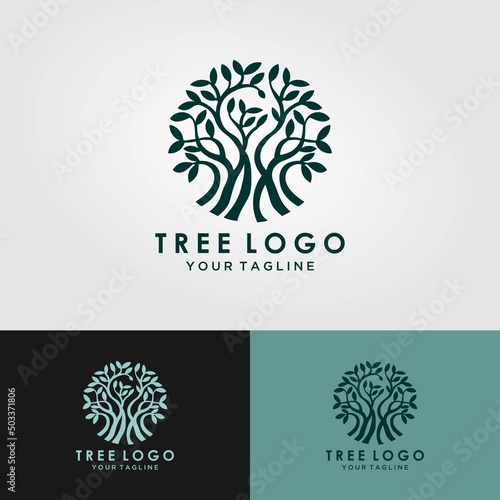 Abstract living tree logo design, roots vector - Tree of life logo design inspiration isolated on white background