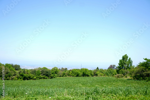 青空の下に広がる広大な草原の風景写真・景色・光・環境