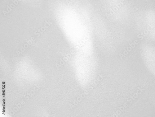 Abstract shadow of leaves on a white wall