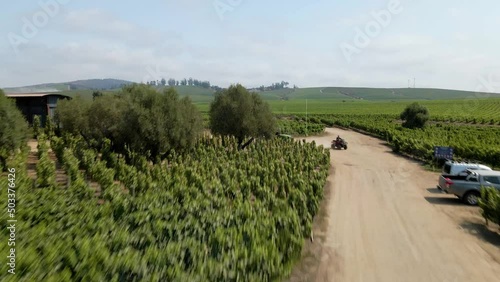 Aerial view dolly in at the Undurraga Vineyard in the Leyda Valley, Chile. photo