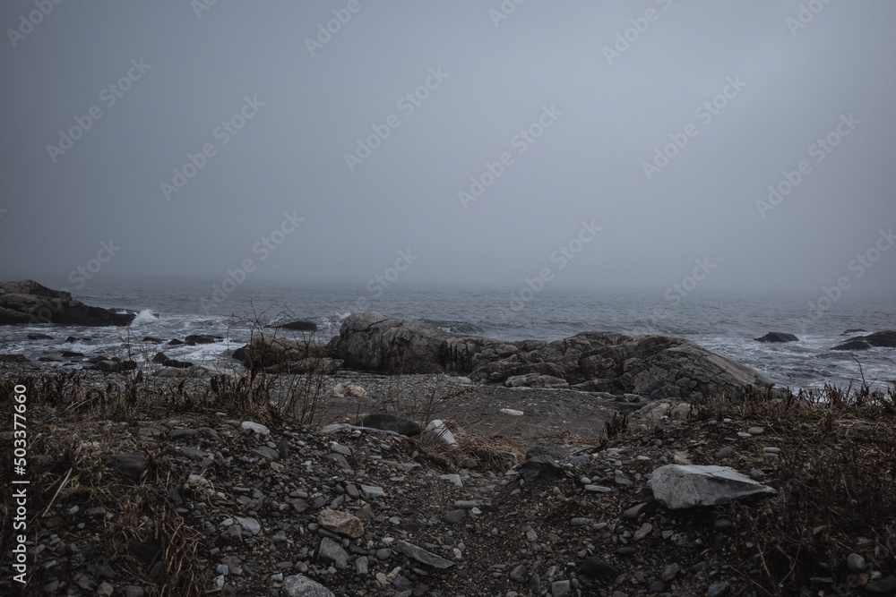 rocks in the fog