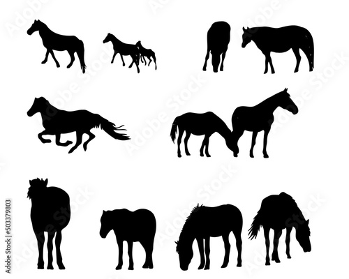 Set of horse silhouette in line art style.Horse vector by hand drawing.Horse tattoo on white background.Illustration of a herd of horses running in the meadow