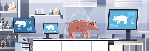 experimental pig in modern veterinary clinic or lab analyzing health biological genetic engineering research concept