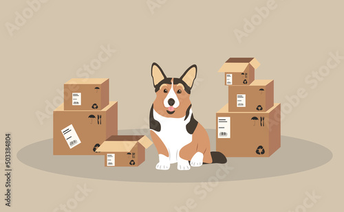 vector illustration in flat style - corgi dog sitting surrounded by cardboard boxes