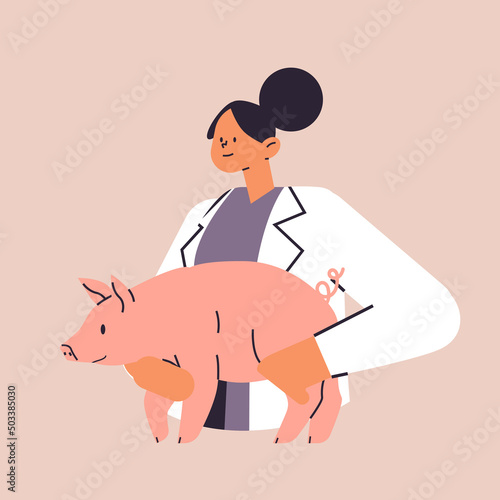 scientist or veterinary worker doing experiments in lab with experimental pig biological genetic engineering research