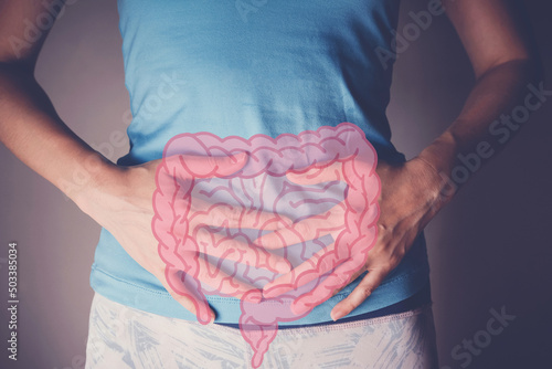 woman hands on her stomach with intesline, probiotics food for gut health, colon cancer, bowel inflammatory concept photo