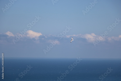 flight over the sea