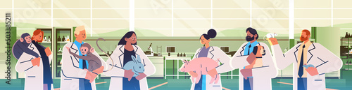 scientists or veterinary workers doing experiments in lab with experimental animals biological genetic engineering research