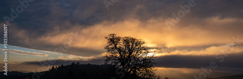 A solitary oak tree is a silhouette in front of a glowing sunset sky in Oregon  textured clouds and strong light against clouds and fog.