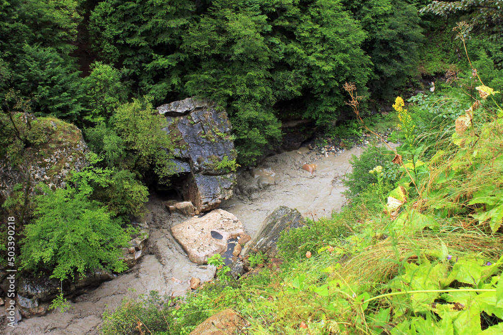 Naklejka premium Muddy river in the canyon.