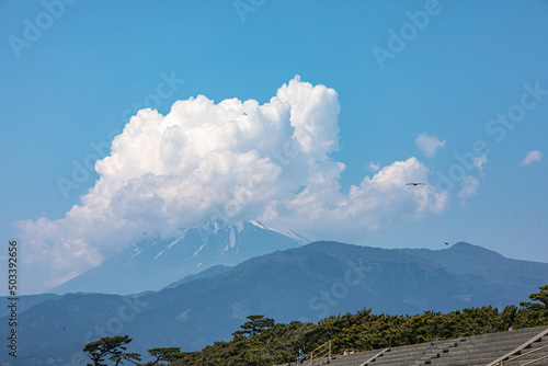 千本松原から観た富士山