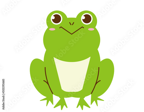 かわいいカエル　ベクターイラスト