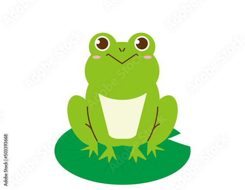 かわいいカエル　ベクターイラスト