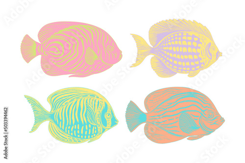 Set of colorful exotic fish. Brush and paint texture © Yuliia Borovyk