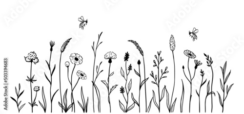 Wild field flower line set. Hand drawn doodle sketch style wild floral element for nature spring background. Flower, garden grass field outline vector illustration.