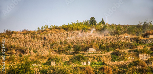 Burning Fields with Graves Guizhou China