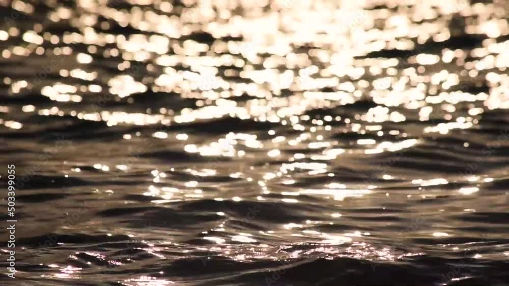 Waves on the lake at sunset Waves on the lake at sunset