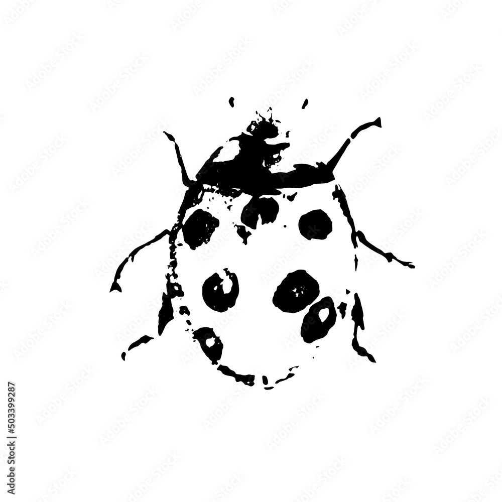 Fototapeta premium Black and white vector art of ladybug.