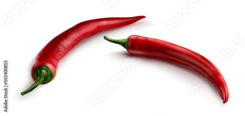 Red chili pepper, hot spicy plant pod, paprika cayenne with green stem vector realistic illustration isolated on white background. Ripe vegetable with shadow