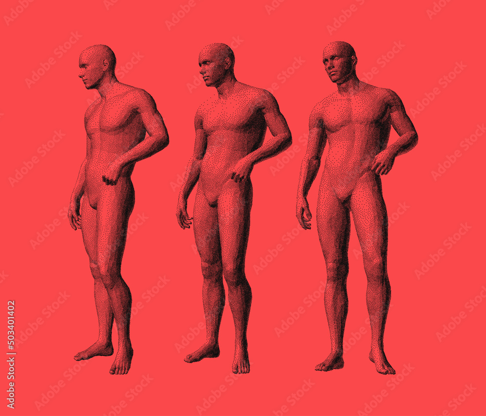 Models of standing people in different poses. 3D human body model. Vector for brochure, flyer, presentation, logo or banner. Models of standing people in different poses. 3D human body model. Vector for brochure, flyer, presentation, logo or banner.