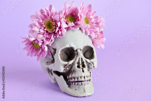 Human skull with flowers on purple background