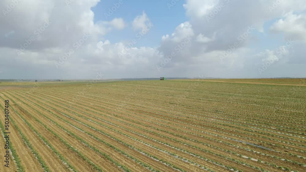 aerial shot of crops fields at sdot negev , israel state aerial shot of crops fields at sdot negev , israel state