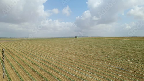 aerial shot of crops fields at sdot negev , israel state