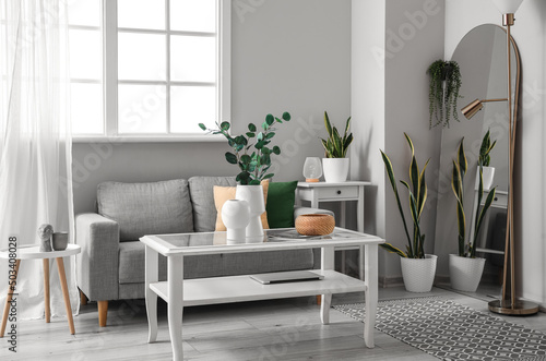 Interior of light living ro...