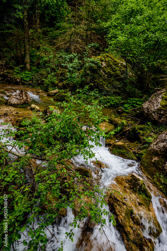 Les Gorges du Nan à Cognin-les-Gorges