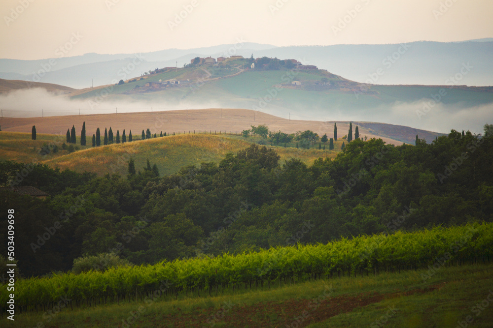 Fototapeta premium Chianti, Toscana. Paesaggio all'alba, colline tra la nebbia