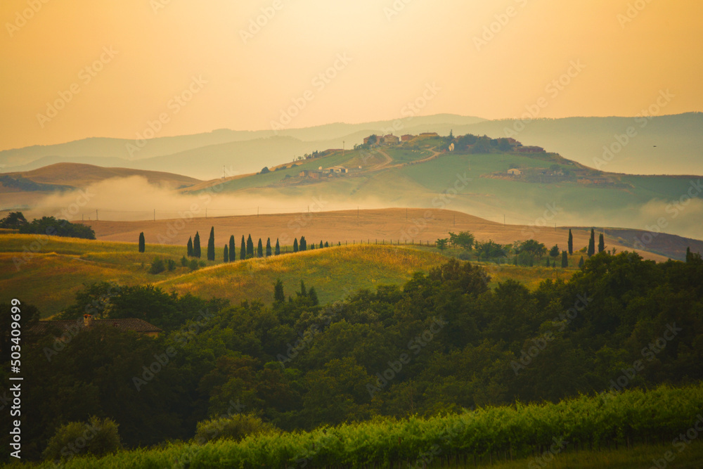 Chianti, Toscana. Paesaggio all'alba, colline tra la nebbia