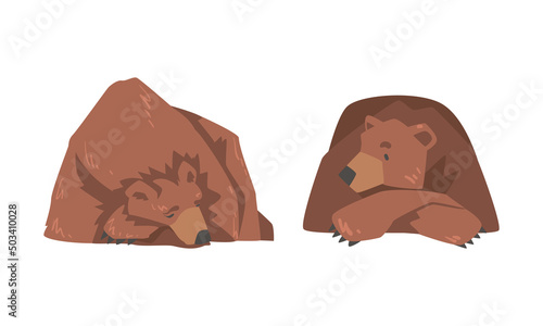 Sleeping Brown Bear as Large Wild Terrestrial Carnivore Mammal with Thick Fur Vector Set