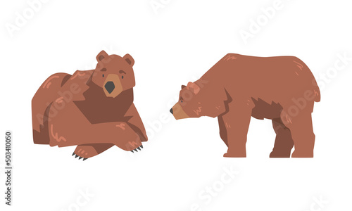 Brown Bear as Large Wild Terrestrial Carnivore Mammal with Thick Fur Lying and Standing Vector Set