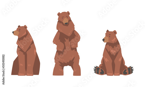 Brown Bear as Large Wild Terrestrial Carnivore Mammal with Thick Fur Standing and Sitting Vector Set