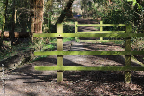 View of wooden fencing and trees in woods in background