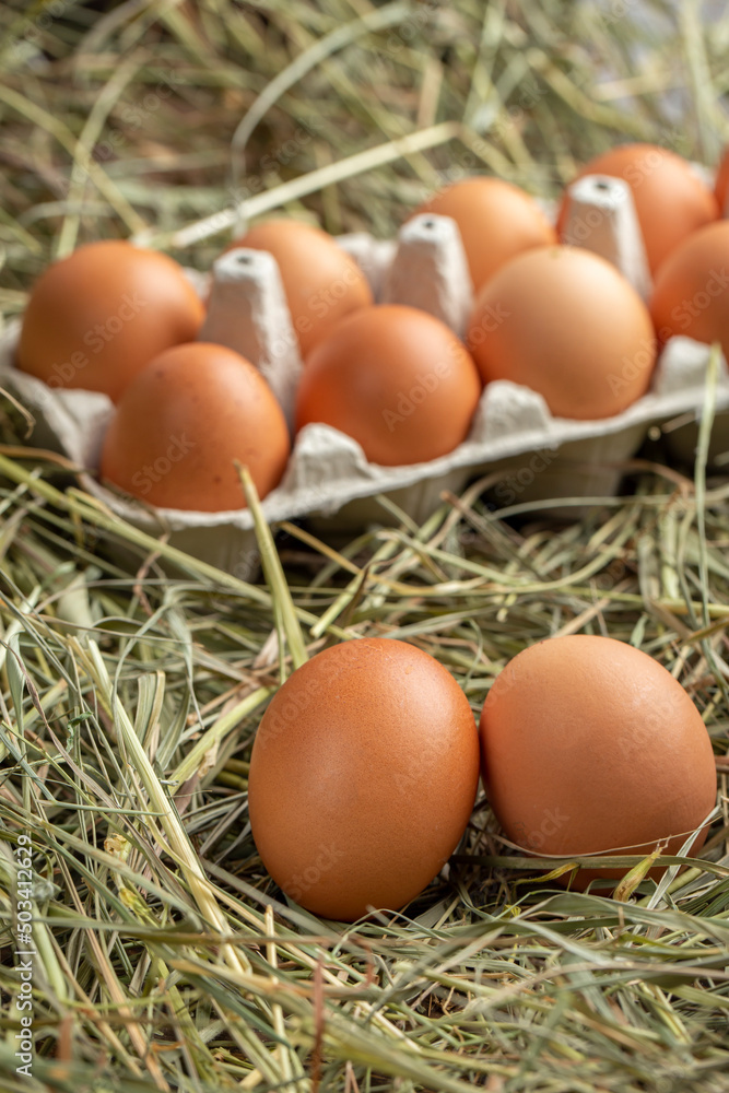 Chicken eggs in a tray and in hay. Chicken eggs in a tray and in hay.