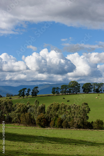 Landscape Tarrawarra, Victoria, Australia, Landscape