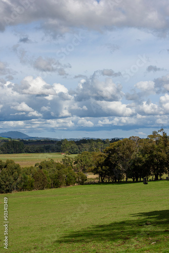 Landscape Tarrawarra, Victoria, Australia, Landscape