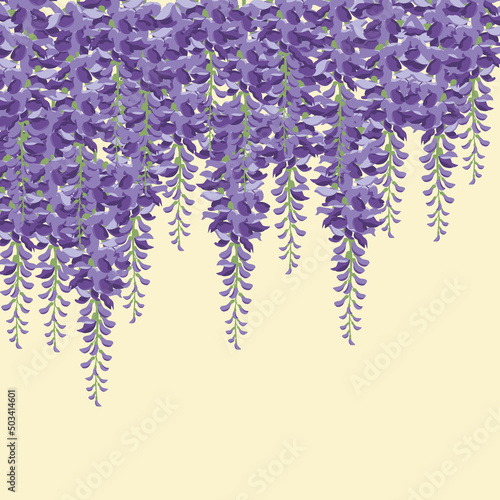 09_wisteria_4500x4500