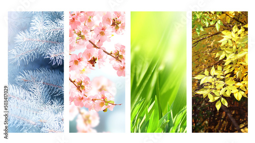 Four seasons of year. Set of vertical nature banners with winter, spring, summer and autumn scenes