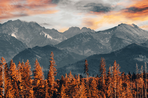 Tatra mountains at sunset with forest valley landscape at autumn