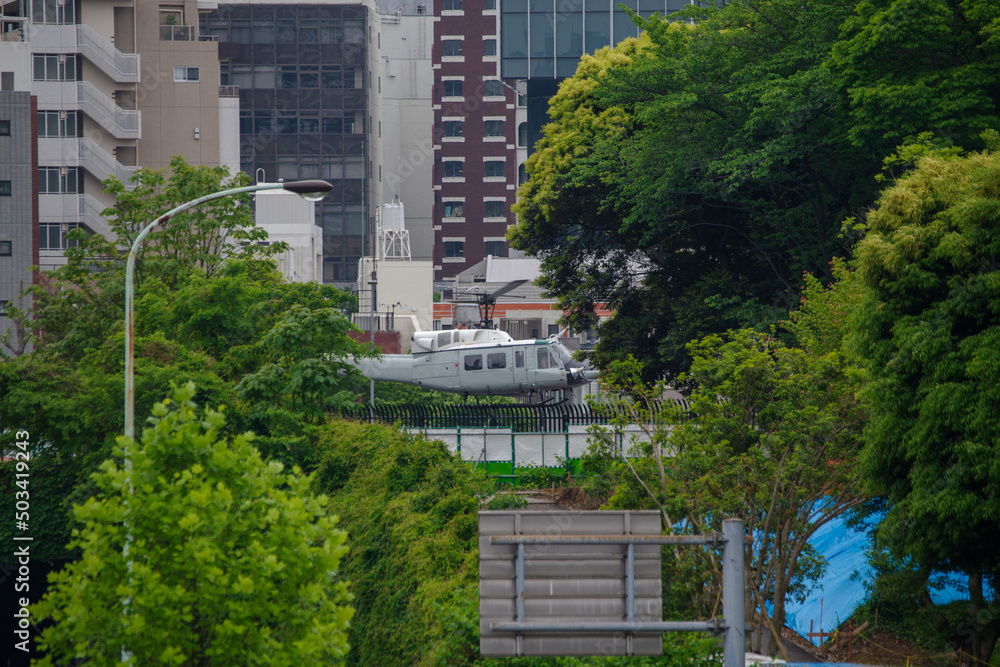 Fototapeta premium 東京港区南青山2丁目の風景