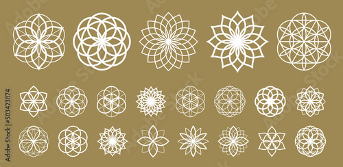 Flower of life vector ancient esoteric symbol big vector set.