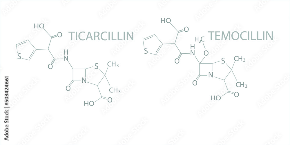Naklejka premium Ticarcillin and temocillin molecular skeletal chemical formula.