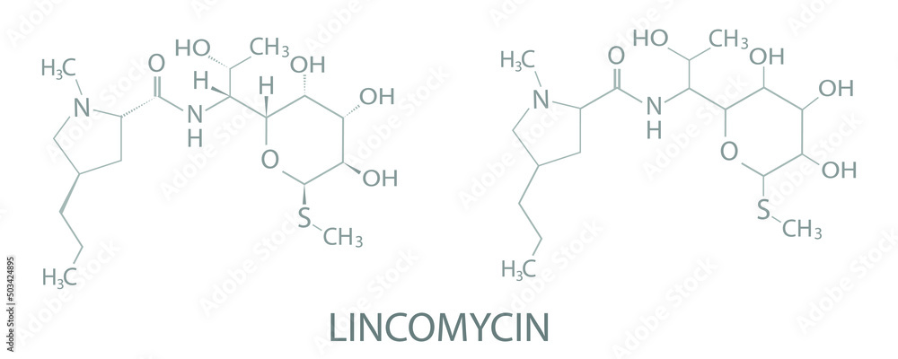 Lincomycin molecular skeletal chemical formula. Lincomycin molecular skeletal chemical formula.