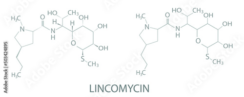 Lincomycin molecular skeletal chemical formula.