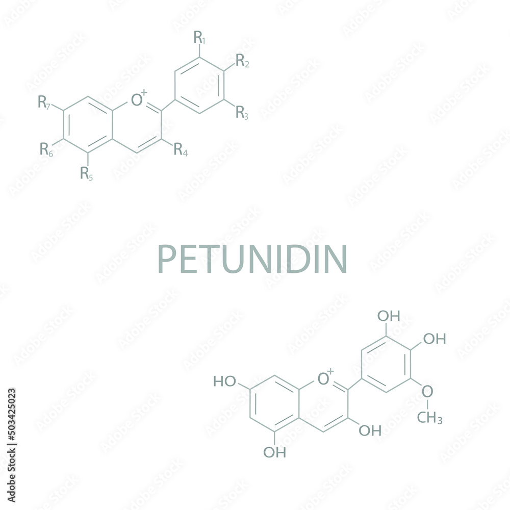 Petunidin molecular skeletal chemical formula. Petunidin molecular skeletal chemical formula.