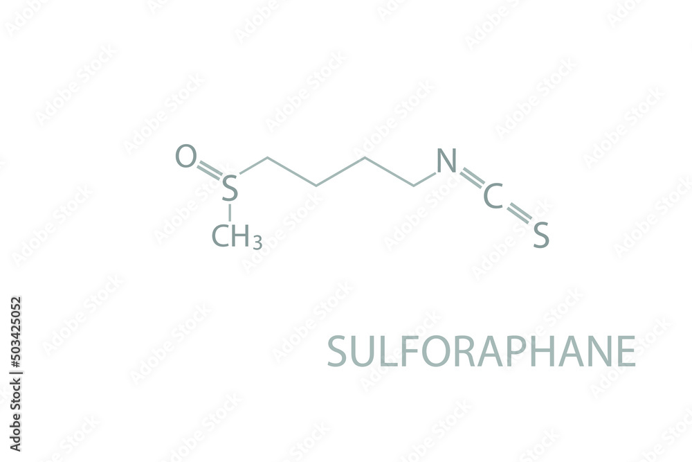 Sulforaphane molecular skeletal chemical formula. Sulforaphane molecular skeletal chemical formula.