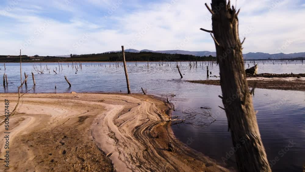 Cinematic drone dolly in from sandy shore of dam to dead trees in water Cinematic drone dolly in from sandy shore of dam to dead trees in water